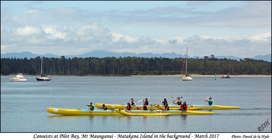 Canoeists at Pilot Bay Mt Maunganui