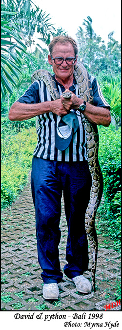David and Python - Bali 1998