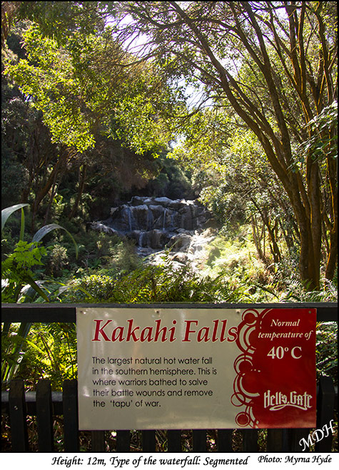 Hells Gate - Kakahi Falls