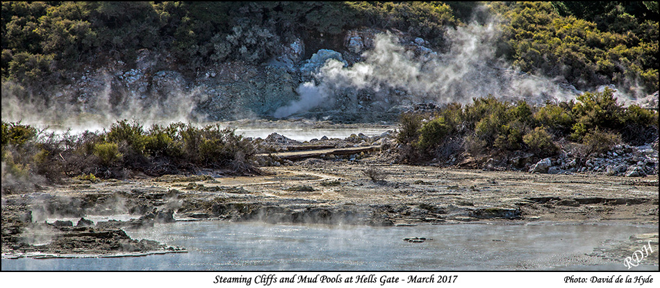 Steaming Cliffs and Mud Pools at Hells Gate