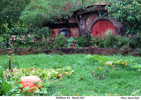 Hobbiton #4