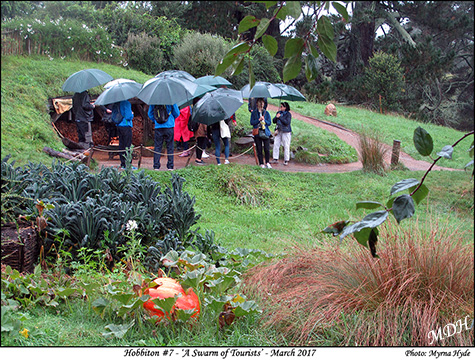 A swarm of tourists - Hobbiton #7