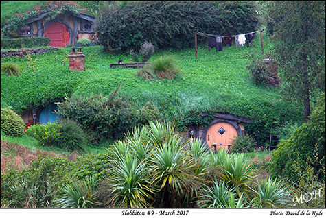 Hobbiton #9