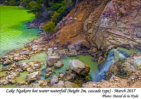 Lake Ngakoro hot water waterfall