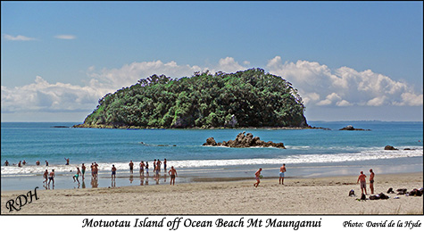 Motuotau Island off Ocean Beach, Mt Maunganui