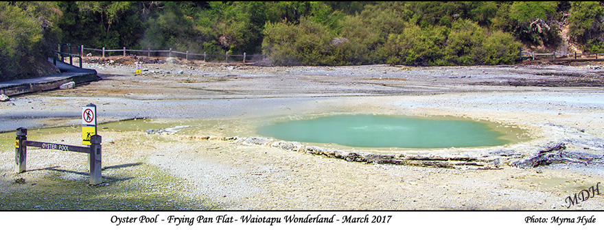 Oyster Pool - Frying Pan Flats