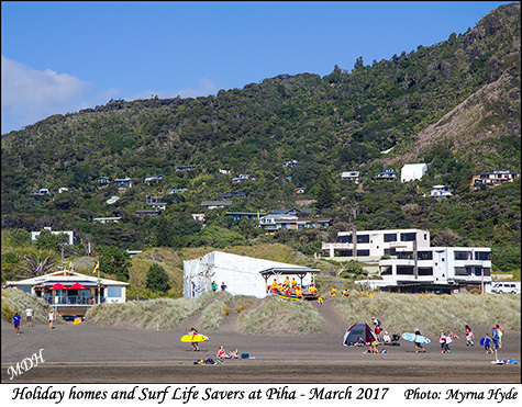 Holiday homes at Piha