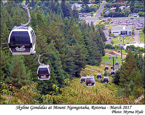 Skyline cable cars at Rotorua