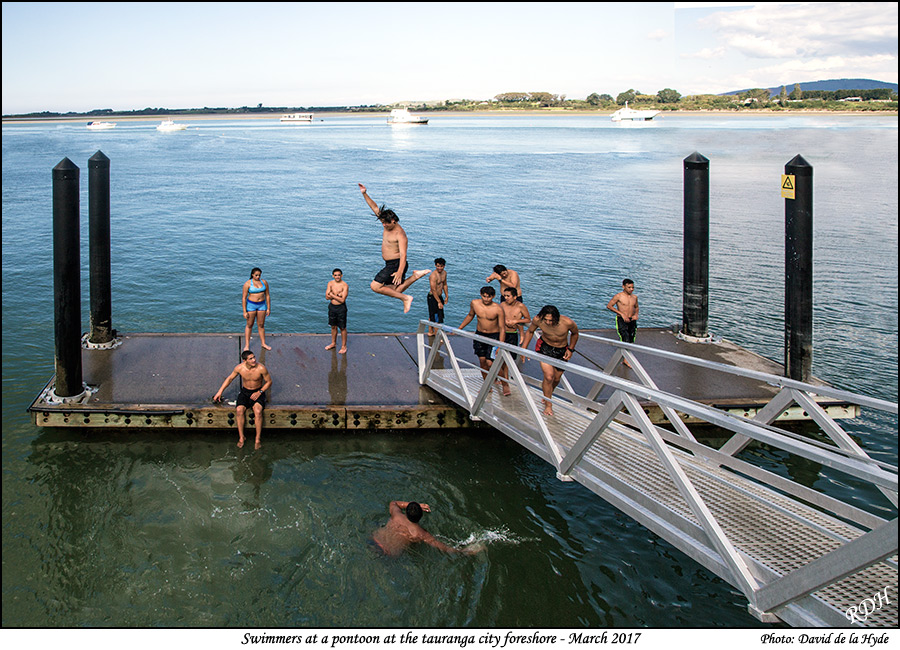 Swimmers at a pontoon moore offshore at the Tauranga waterfront