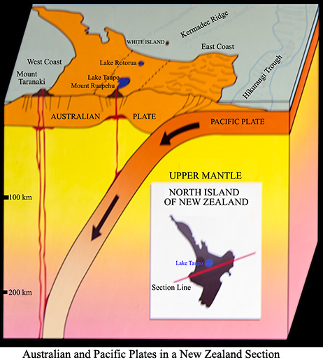 A section pof NZ showing the Pacific and Australian Tectonic Plates