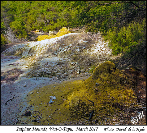 Waiotapu Sulphur Mounds