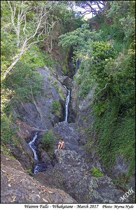 Wairere Falls, Whakatane