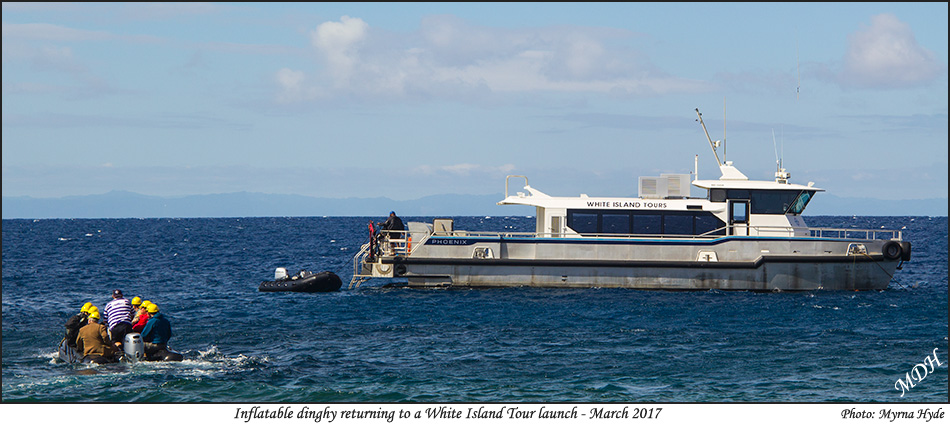 Dingies returning to tour boat at White Island