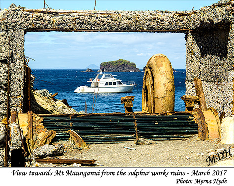 View towards Mt Maunganui from the sulphur works ruins