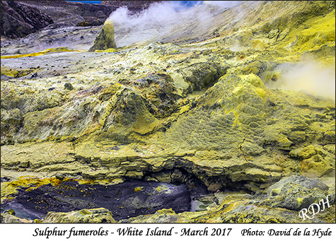 White Island sulphur fumeroles