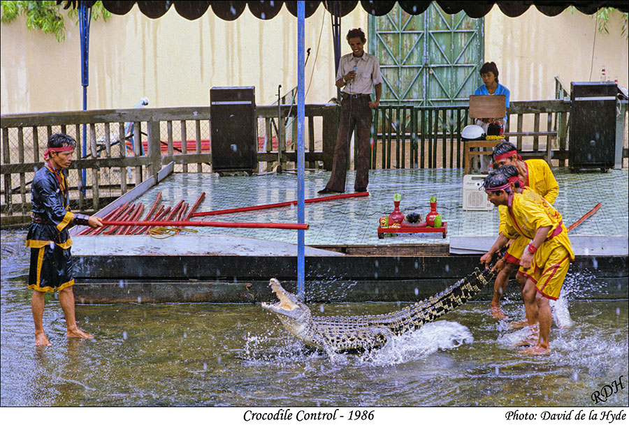 Crocodile Control - Jakarta 1986