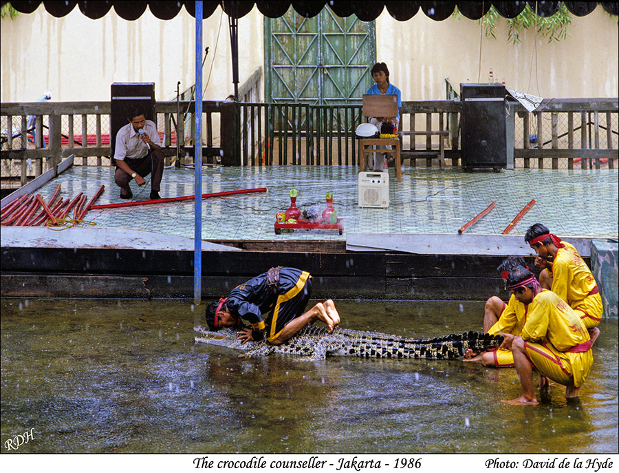 Crocodile Counselling - Jakarta - 1986
