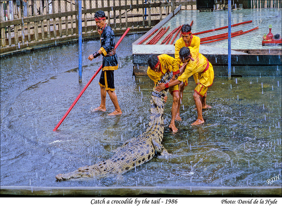 Catch a crocodile by the tail.