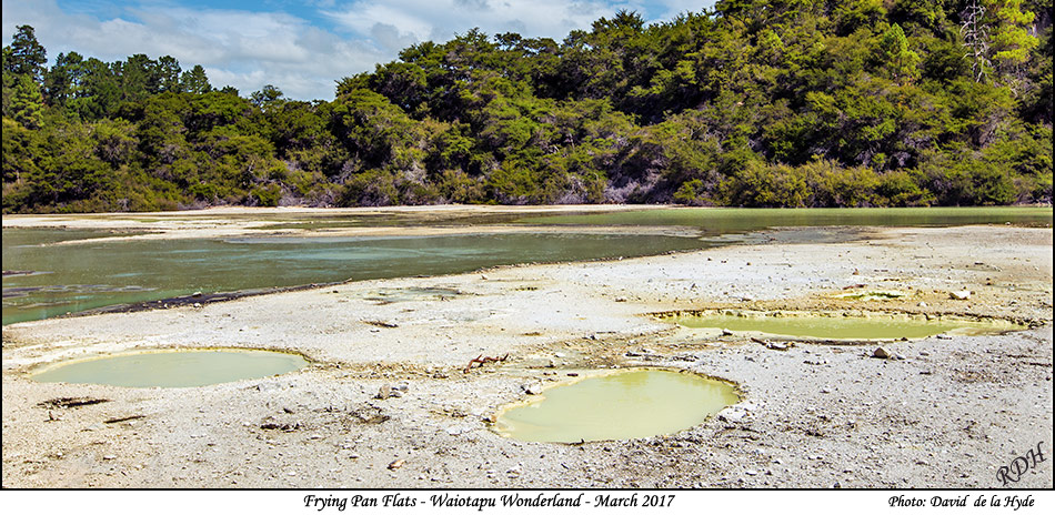 Frying Pan Flats - Waiotapu Wonderland