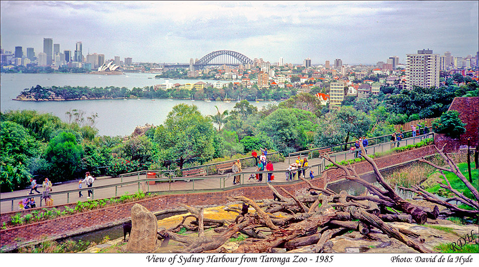 View of Sydney Harbour from Taronga Zoo - 1985