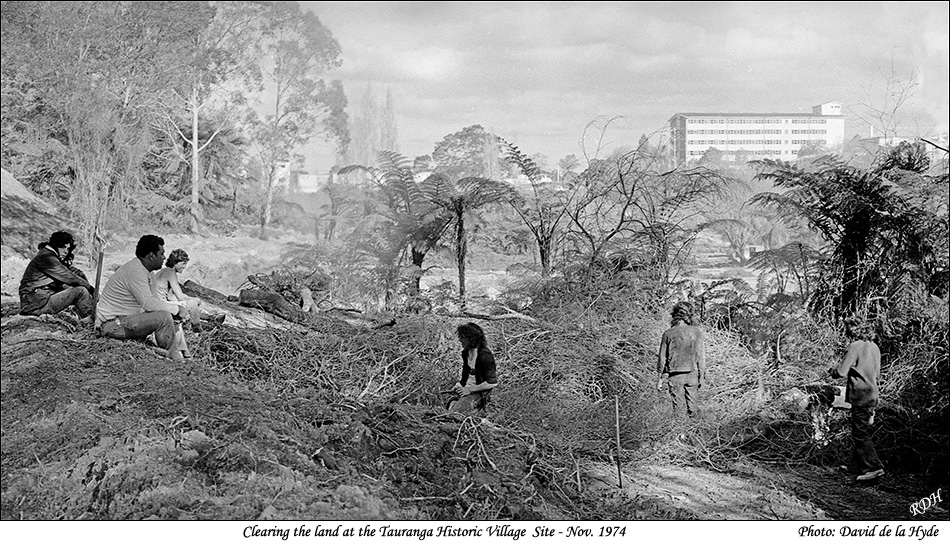 Site Clearing at the Tauranga Historic Village - Nov. 1974 