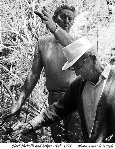 Noel Nicholls and helper at Tauranga Historic Village site - Feb. 1974
