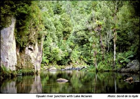 Junction of the Opuaki river with Lake Mclarens