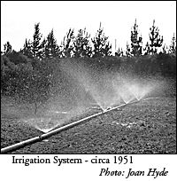 Orchard irrigation system,