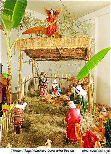 Tumibo Chapel Nativity Scene with live cat