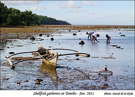Shellfish collectors at Tumibo