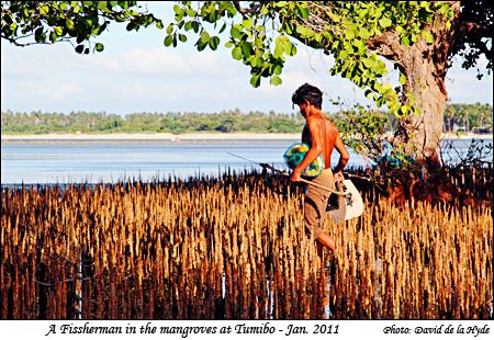 A Tumibo fisherman walking through the mangroves