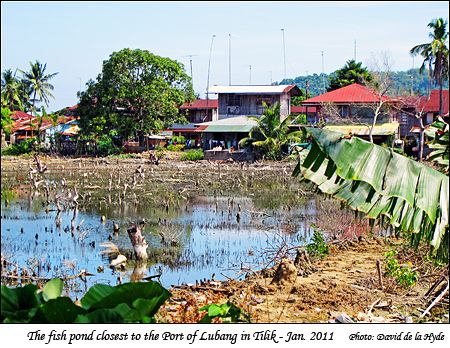 The fish pond nearest to the Port of Lubang - Tilik