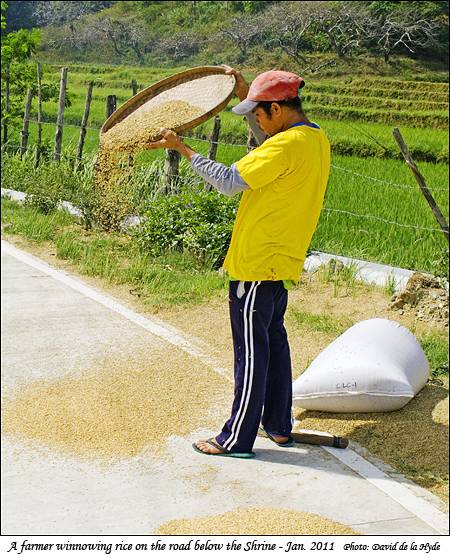 A farmer winnowing rice on the road below the shrine
