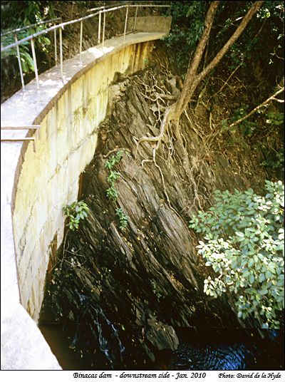 Binacas Dam, downstream side showing a tenaceous tree.