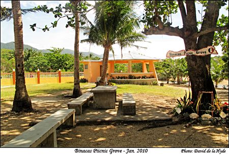 Binacas Picnic Grove