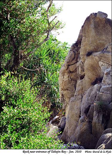 A rock near the entrance of Tabajin Bay