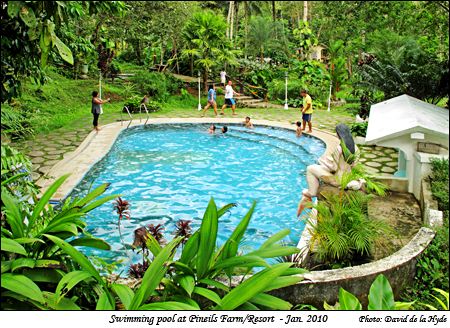 Swimming Pool at Pineils Farm/Resort