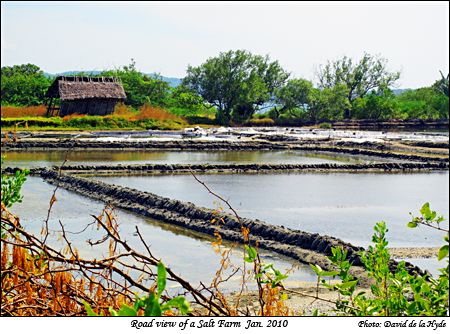 View of a salt farm on the way to Looc.