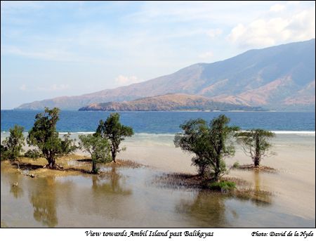 View towards Ambil Island past Balikayas