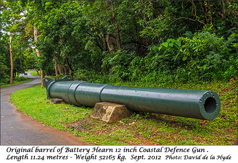 G12 inch coastal defence gun barrel at Battery Hearn