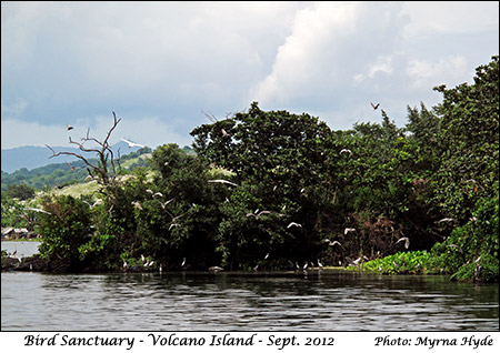 Bird Sanctuary on Volcano Island