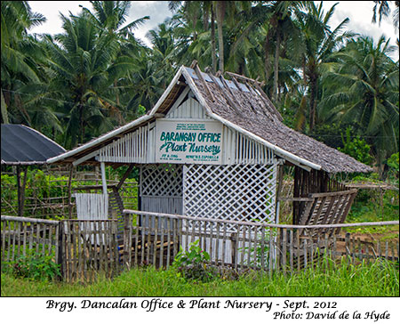 Barangay Dancalan Office and plant nursery