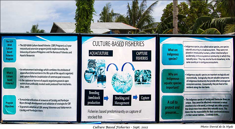 Culture Based Fisheries