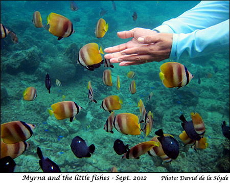Myrna and the little fishes