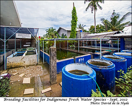 Breeding facilities for indigenous fresh water species