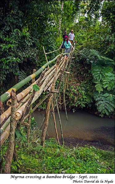 Myrna crossing a bamboo bridge on the way to the farm
