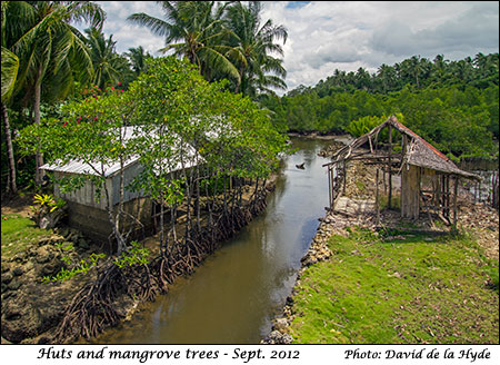 Huts and mangrove trees