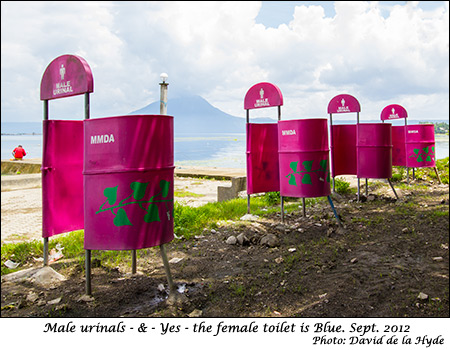Male urinals - & the female toilet is blue.