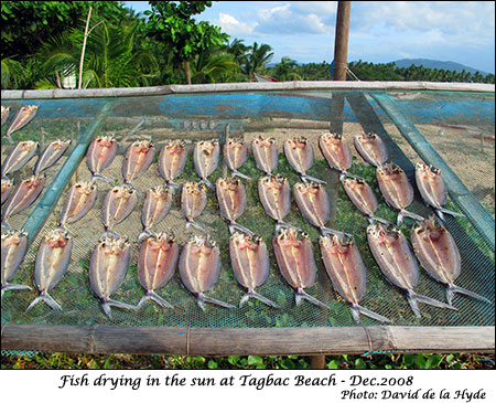 Fish drying at Tagbac beach