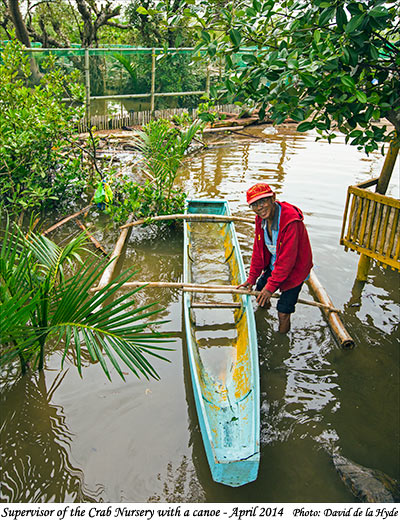 Crab nursery supervisor with a canoe